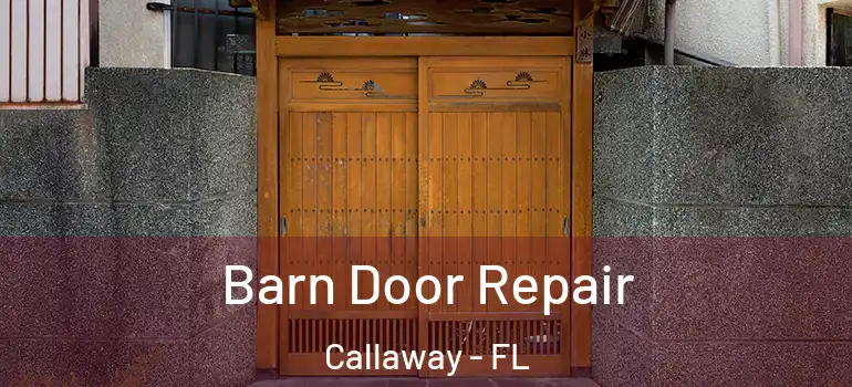 Barn Door Repair Callaway - FL