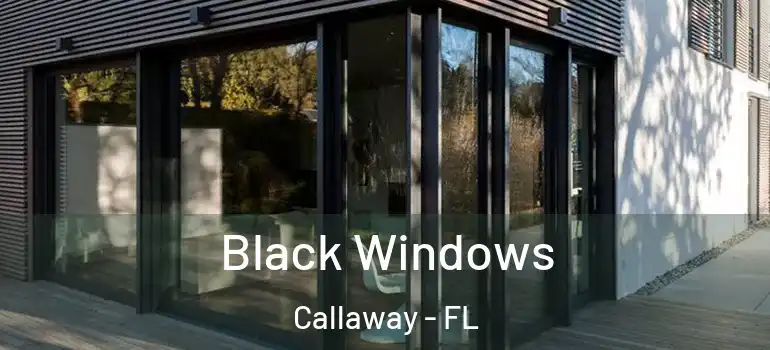 Black Windows Callaway - FL