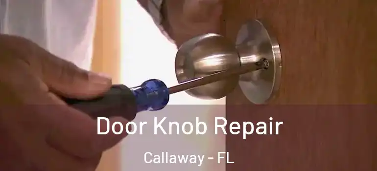 Door Knob Repair Callaway - FL
