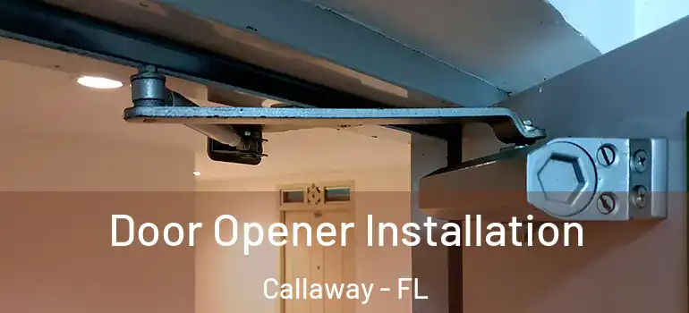 Door Opener Installation Callaway - FL