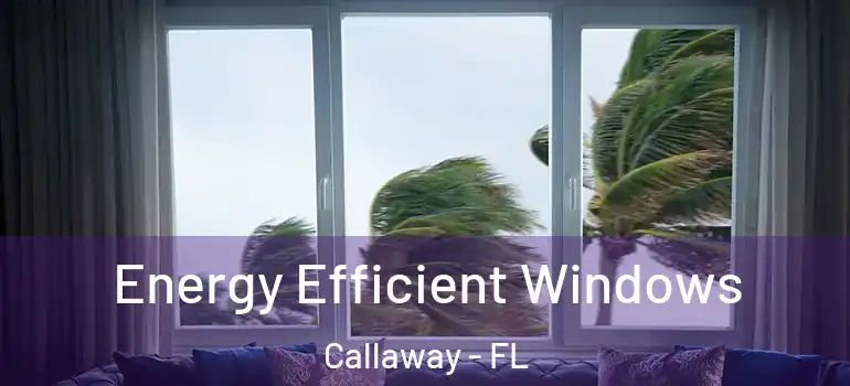 Energy Efficient Windows Callaway - FL