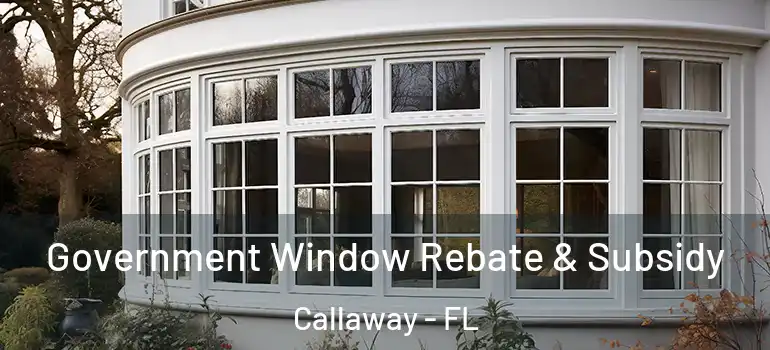 Government Window Rebate & Subsidy Callaway - FL