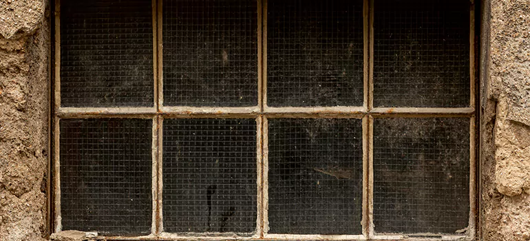 Traditional Double Front Doors in Callaway, FL