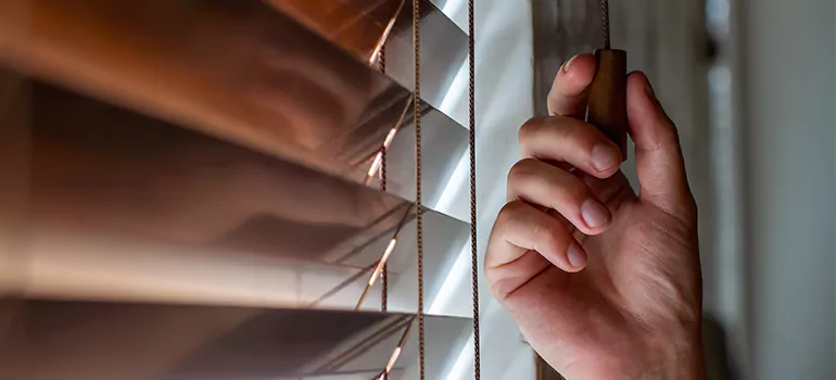 Double Roller Blinds in Callaway, FL