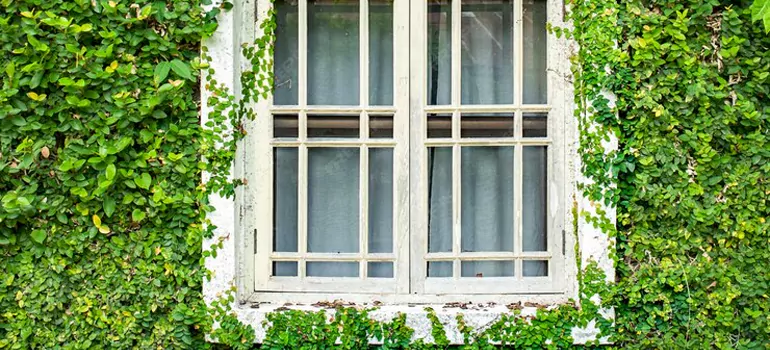Garden Window Repair Near Me in Callaway, FL