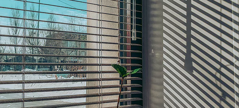 Commercial Window Blinds in Callaway, FL