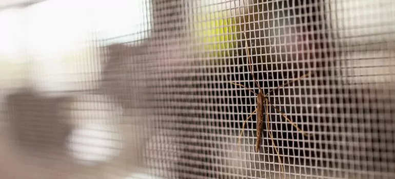 Repair Mosquito Mesh For Windows in Callaway, FL