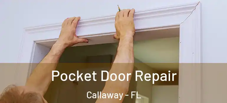 Pocket Door Repair Callaway - FL