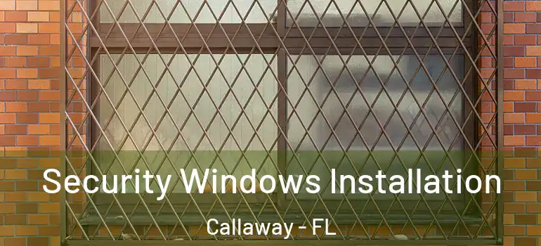 Security Windows Installation Callaway - FL