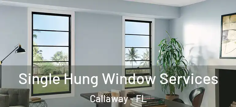Single Hung Window Services Callaway - FL