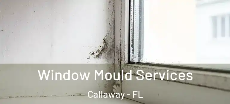 Window Mould Services Callaway - FL
